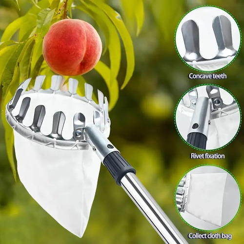 Herramienta Recolectora Frutas Mango Ajustable 13 Pies Mmg