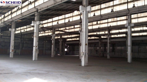 Imagem 6 de 15 de Excelente Galpão Industrial, Nas Marginais Próximo Do Shopping Sp-market - Mr49430