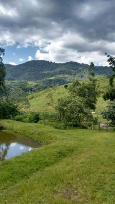 Imagem 12 de 14 de Sítio Com 18 Alqueires, Em Pedro De Toledo
