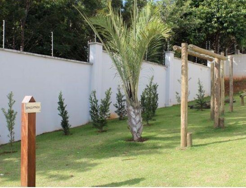 Apartamento À Venda, 3 Quartos, 1 Suíte, 2 Vagas, Condomínio Spazio Confiance - Campinas/sp - 2576