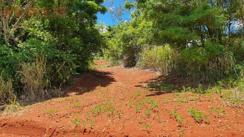 Chácaras_sítios_fazendas Para Venda - 13650.7652