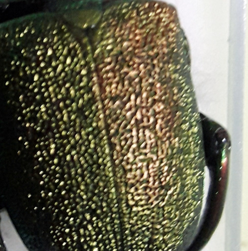 Antiguedad Escarabajo Disecado Verde Coleoptero P/ Estudio