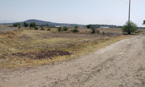 Terreno En Temascalapa, Edo. Méx. Sup. 19 Hectáreas