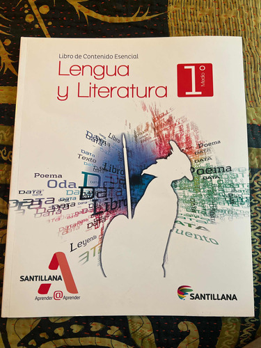 Libro Lenguaje Y Literatura, 1 Medio, Santillana