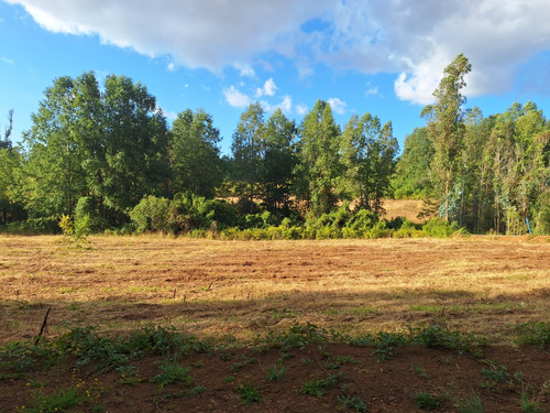 Parcelas A 20 Km De Villarrica Con Luz Y Agua 