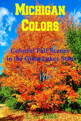 Libro Michigan Colors: Colorful Fall Scenes In The Great ...