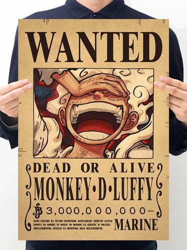 Poster Cartel Anime One Piece Wanted Se Busca