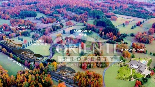 Parcelas Villarrica 5000 M2 - Segunda Faja - Colegio Ingles
