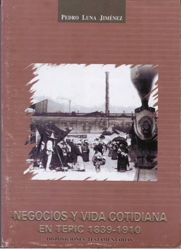 Negocios Y Vida Cotidiana En Tepic 1839-1910 Isposiciones Te