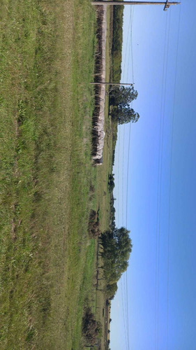 Venta Sauce Ruta 6 Km 44 , 8 Hectáreas, Tajamar