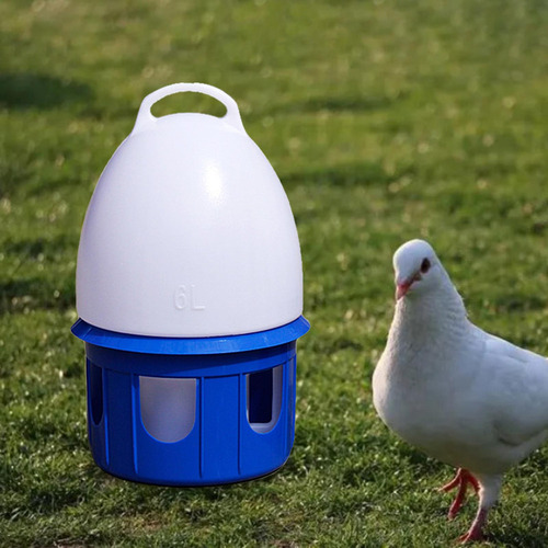Bebedero For Palomas, Dispensador 6l D 19cm H 35cm