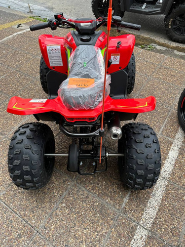 Cuatriciclo Para Niños Cforce 110cc - Cfmoto Quilmes
