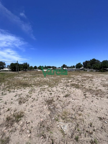 Imagen 12 de 13 de Terrenos En Venta El Pinar Vista Sobre Interbalnearia. (financia)