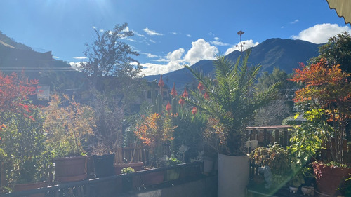 El Arrayan/gran Terraza