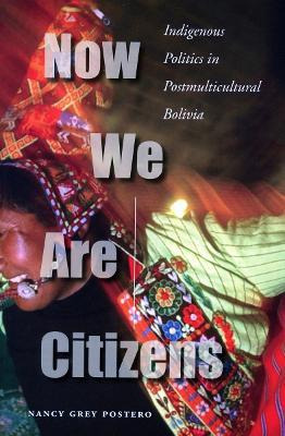 Libro Now We Are Citizens : Indigenous Politics In Postmu...