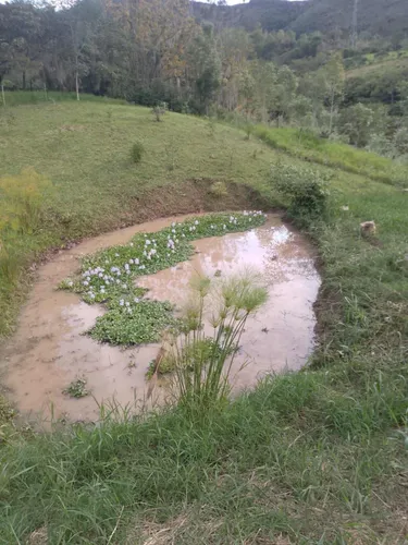 Vendo Finca En Machetá Cundinamarca A 1.5 Horas De Bogotá!