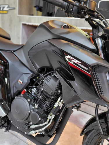 Imagen 15 de 17 de Yamaha Fz 25 0km Tamburrino Motos Entrega Inmediata