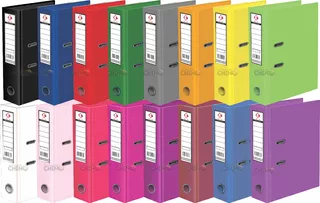 Set X10 Biblioratos Oficio Lomo Ancho, 15 Colores A Elegir
