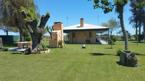 Imagen 10 de 12 de Campo En Venta 66has Agrícolas Ruta 16