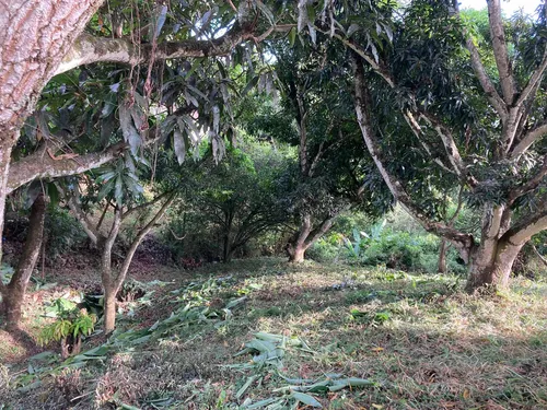 Lote Anapoima Conjunto Cerrado