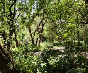 Terreno En Merlo San Luis Acepto Vehículo En Excelente Estad