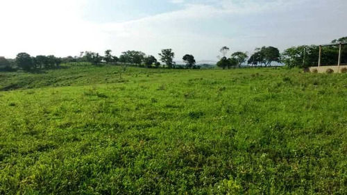 Imagen 7 de 16 de Venta Finca En Yaracal Estado Falcón