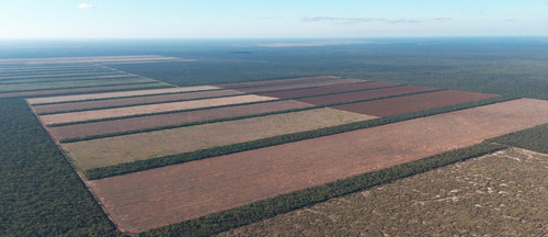 Campo En Santiago Del Estero