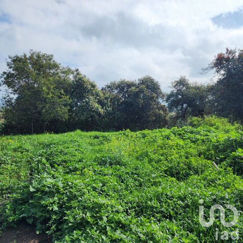 Venta Terreno 0 Ambiente San Antonio Zoyatzingo