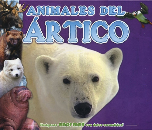 Animales Del Ártico Libro Infantil