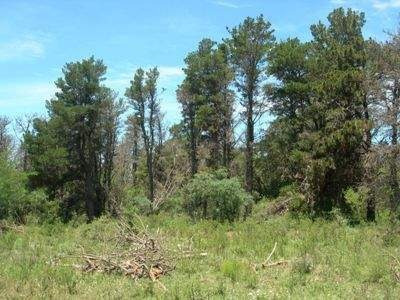 Imagen 6 de 7 de Venta 2 Ultimos Lotes-potrero De Garay- Escritura-1.000 M2.c/u.