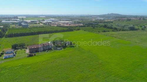 Imagen 6 de 21 de Venta Campo 11 Has Rincon Del Cerro Montevideo