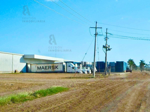 Imagen 11 de 11 de Terreno En Venta 1200 Hectareas Tekax, Yucatán. Ctv16.
