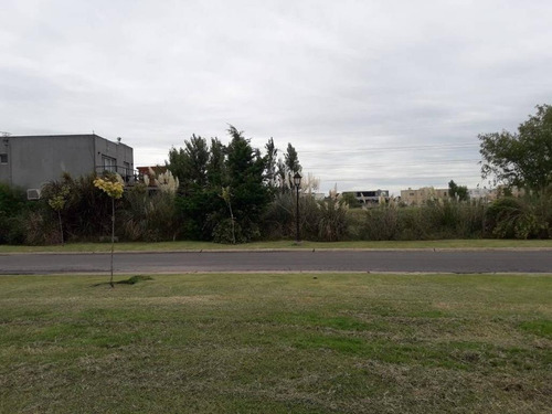 Imagen 4 de 16 de Lote A La Laguna San Benito Villanueva