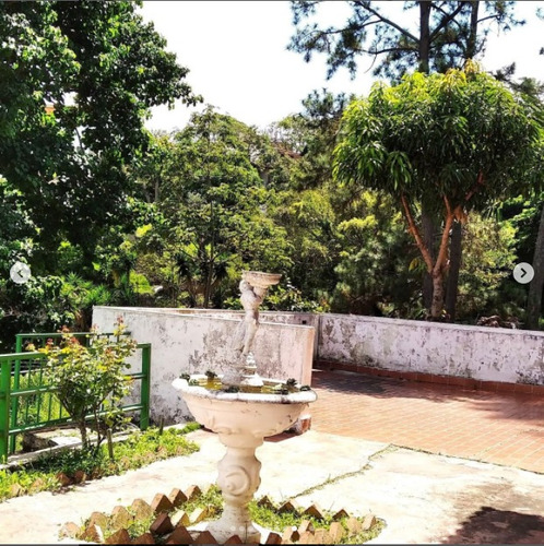 Imagen 10 de 10 de Se Vende Casa 800m2 8h/7b/5p Lomas De La Trinidad