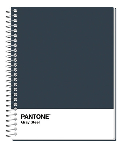 Pack 5 Cuadernos Premium Rhein Pantone