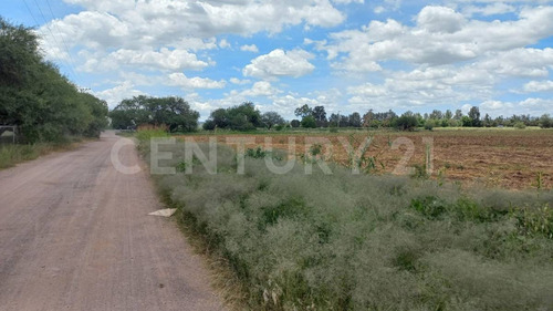 Terreno Rustico En Venta En Rincon De Romos