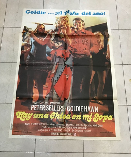 Antiguo Afiche De Cine Original C/ Goldie Hawn-envio 