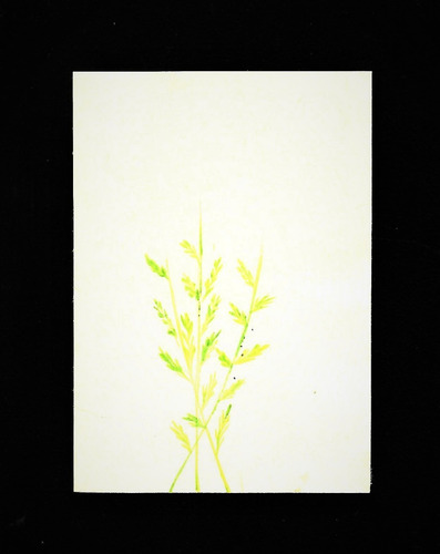 Imagen 4 de 9 de Obras De Arte En Pequeño Formato. Arte Sumi-e. Pintura China