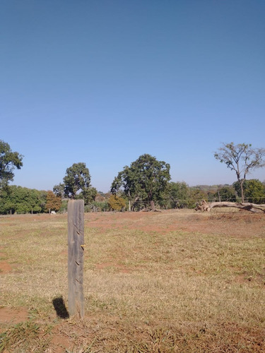 Imagem 6 de 13 de Fazenda Para Pecuária A Venda Na Região De Itapagipe / Campina Verde-mg, Com 57,5 Alqueirao, Benfeitorias Completas, Rio E Represa - Fa00395 - 70075361