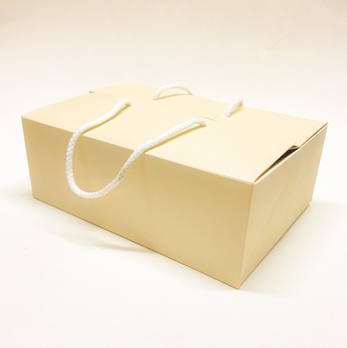 Imagen 2 de 7 de Caja Bolsa Premium Rígida C/cordón 18x25x18cm (x50u) 215