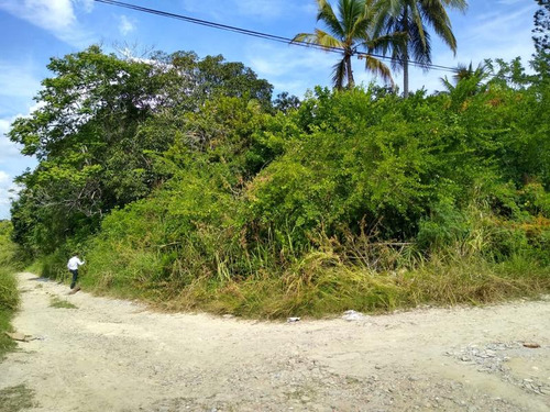 Venta Terreno 773 M² Col. El Naranjal Tuxpan Veracruz