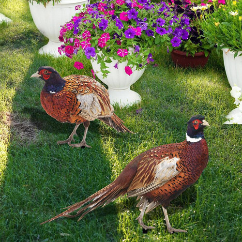 Figura De Faisán En Acrílico Para Jardín, Fácil De A