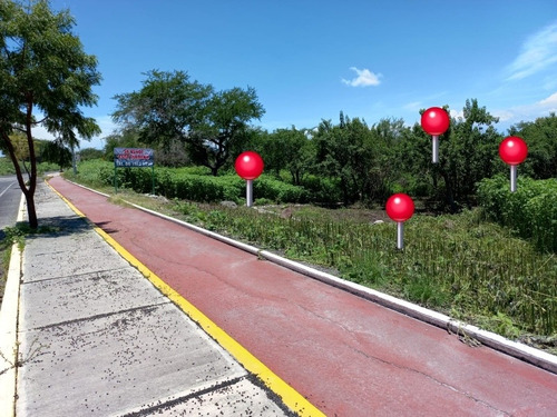 Imagen 7 de 14 de Terreno En El Tequesquitengo Morelos