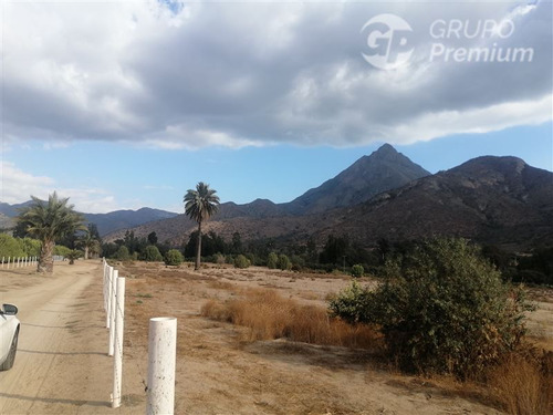 Agrícola En Venta En Hijuelas