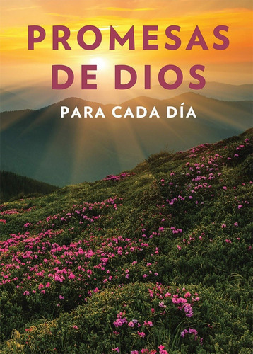Promesas De Dios Para Cada Día, De Jack Countryman. Editorial Penguin En Español