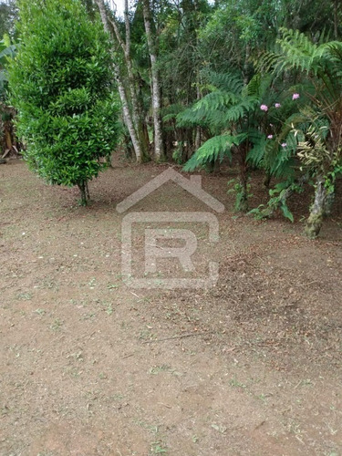 Imagem 15 de 30 de Chácara À Venda Ideal Para Moradia! - 120 - 70272454