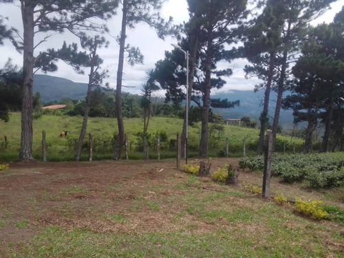 Imagen 2 de 7 de Finca De 35 Hectáreas En Poligono