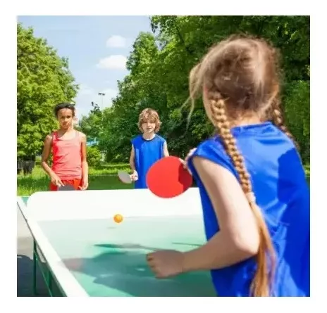 Tercera imagen para búsqueda de ping pong