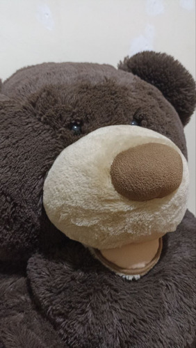 Oso Pardo Peluche Gigante 180cm