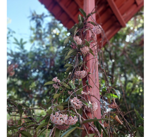 Chácara De 35.000m2 Em Condomínio Do Cedro - Serra Da Piedade